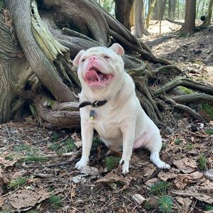 Meet your Posher, Emma